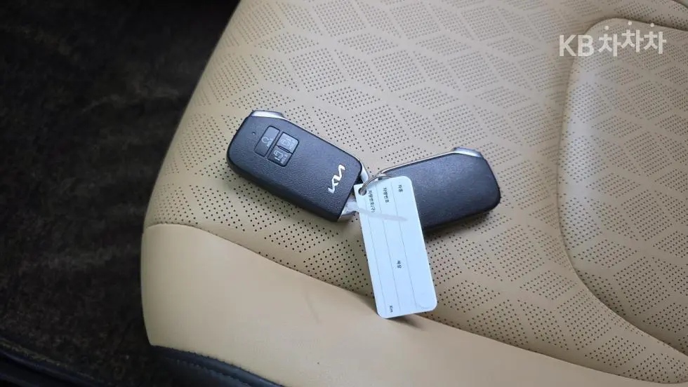 Kia Carnival 4th generationD2.2 9-seater Noblesse - 25