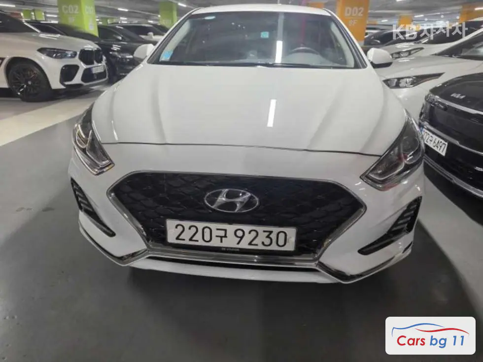 Hyundai Sonata New Rise 2.0 LPi Taxi Economy - Image 1