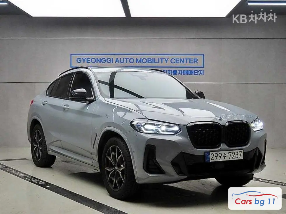 BMW New X4 (G02)xDrive 20i xLine