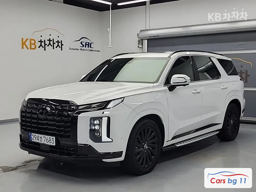 Hyundai The New Palisade3.8 Gasoline 2WD Calligraphy Black Edition