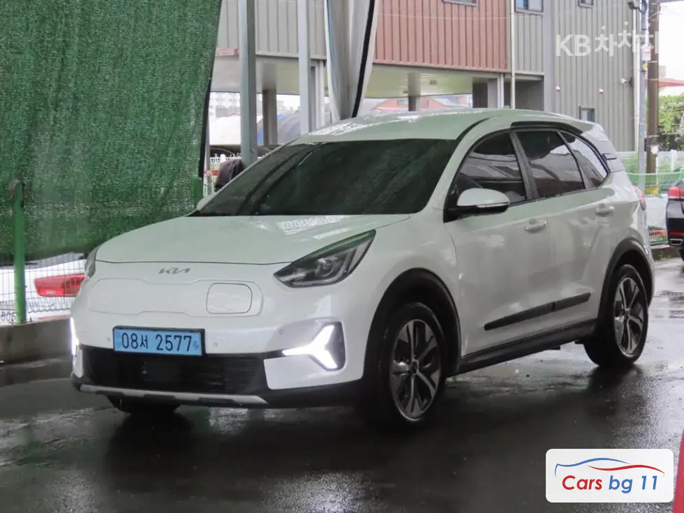 Kia Niro PlusEV Earth