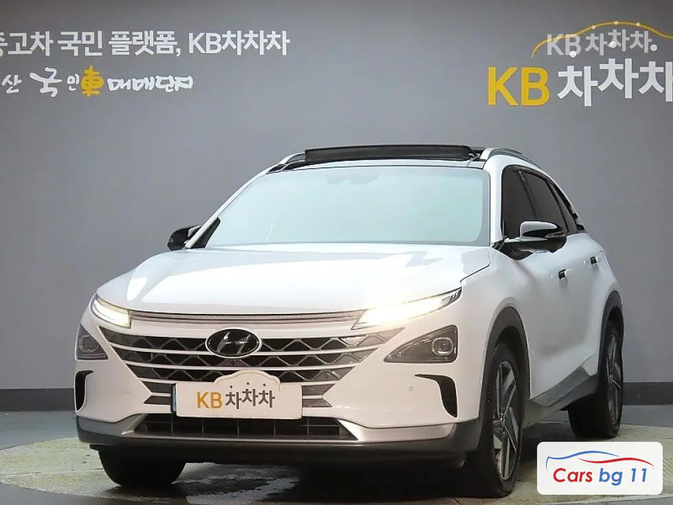 Hyundai NexoPremium