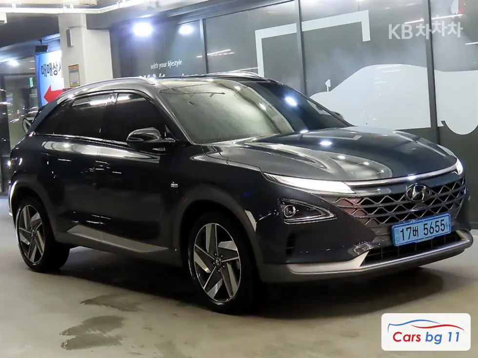 Hyundai NexoPremium