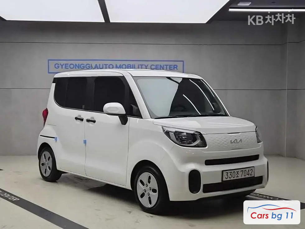 Kia The New Ray Van1.0 Gasoline Van 2-seater Standard