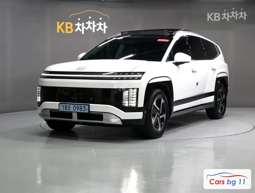 Hyundai IONIQ 9EV 성능형 AWD Prestige
