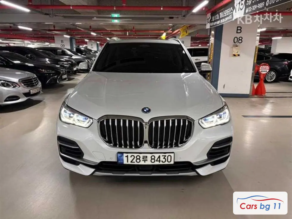BMW X5 (G05)xDrive 45e xLine