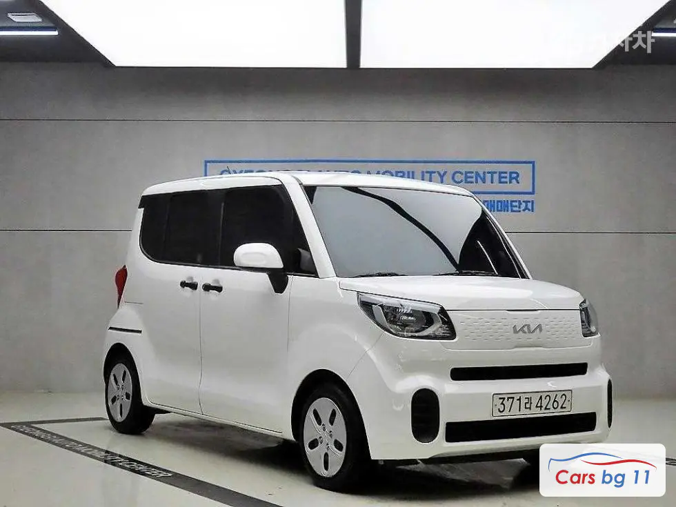 Kia The New Ray Van1.0 Gasoline Van 2-seater Standard