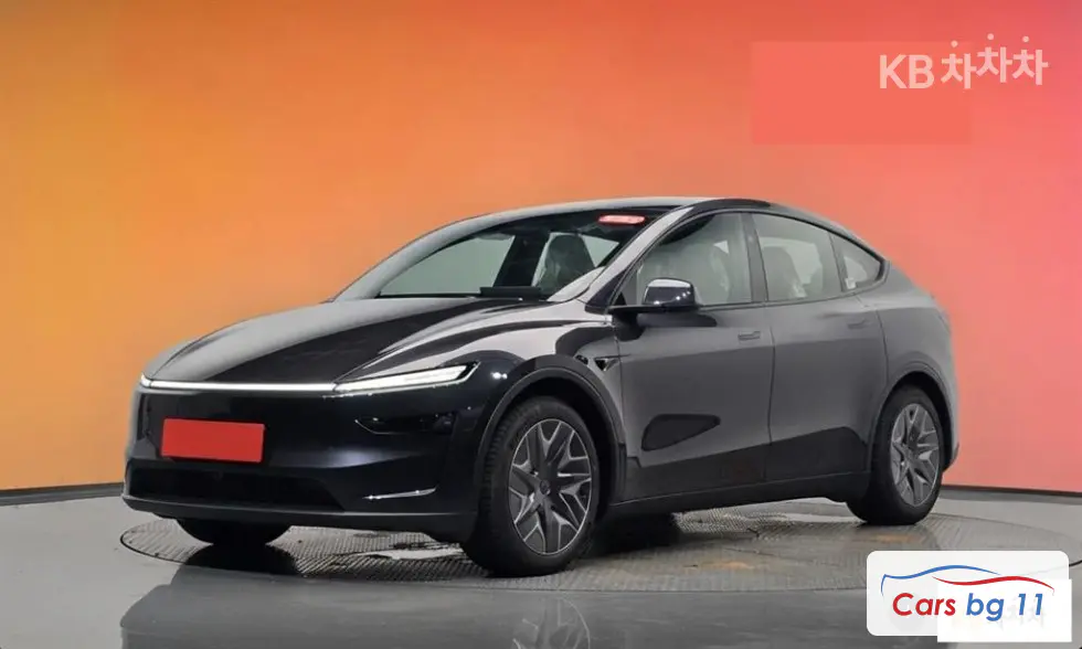Tesla Model YLong Range AWD