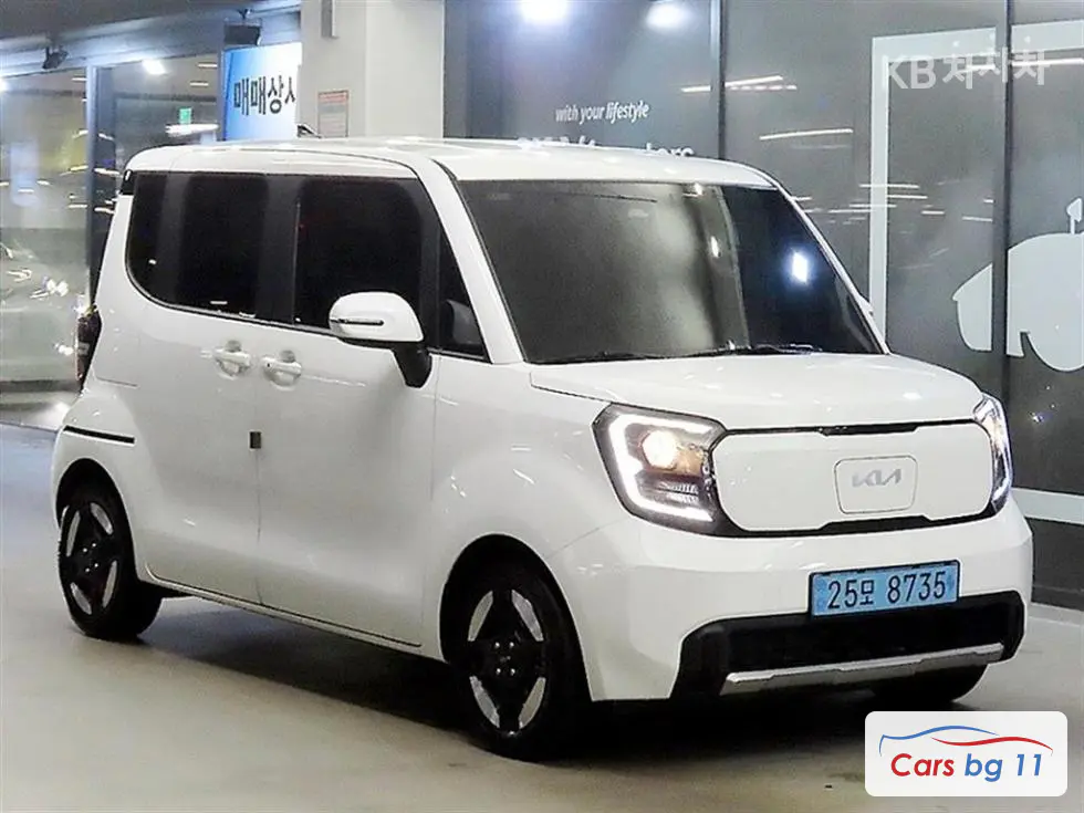 Kia The Kia Ray EVEV Air