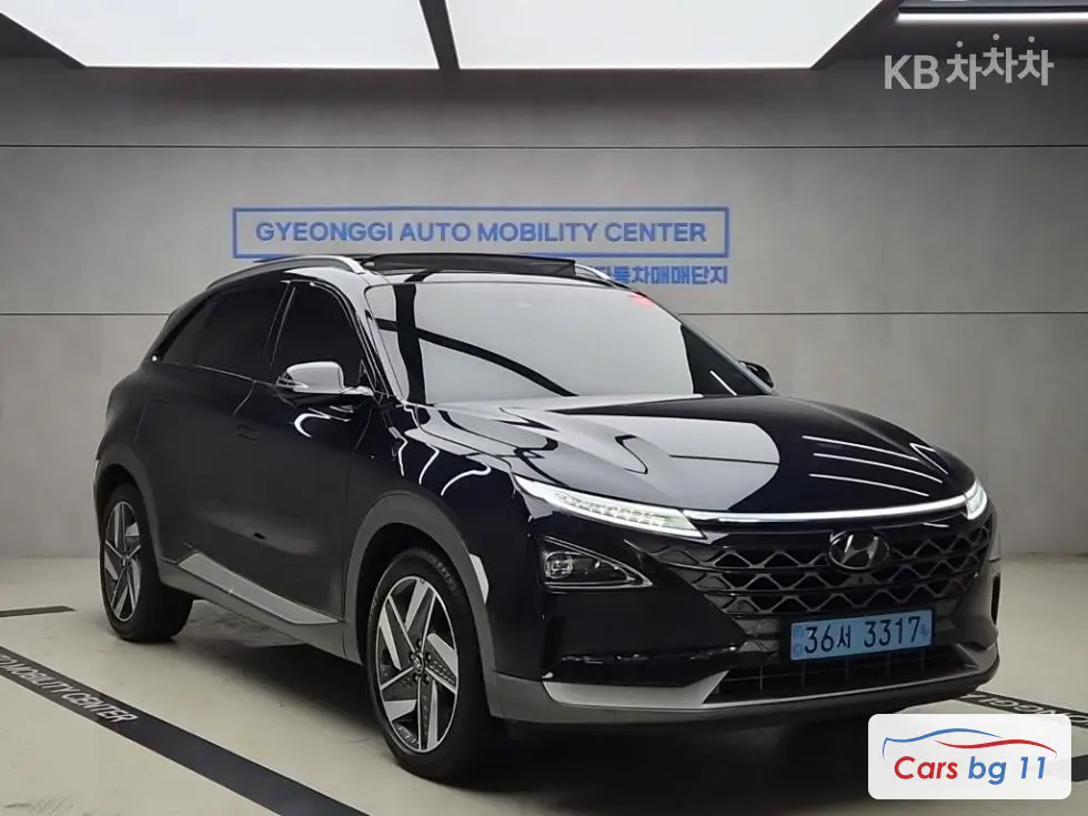 Hyundai NexoPremium