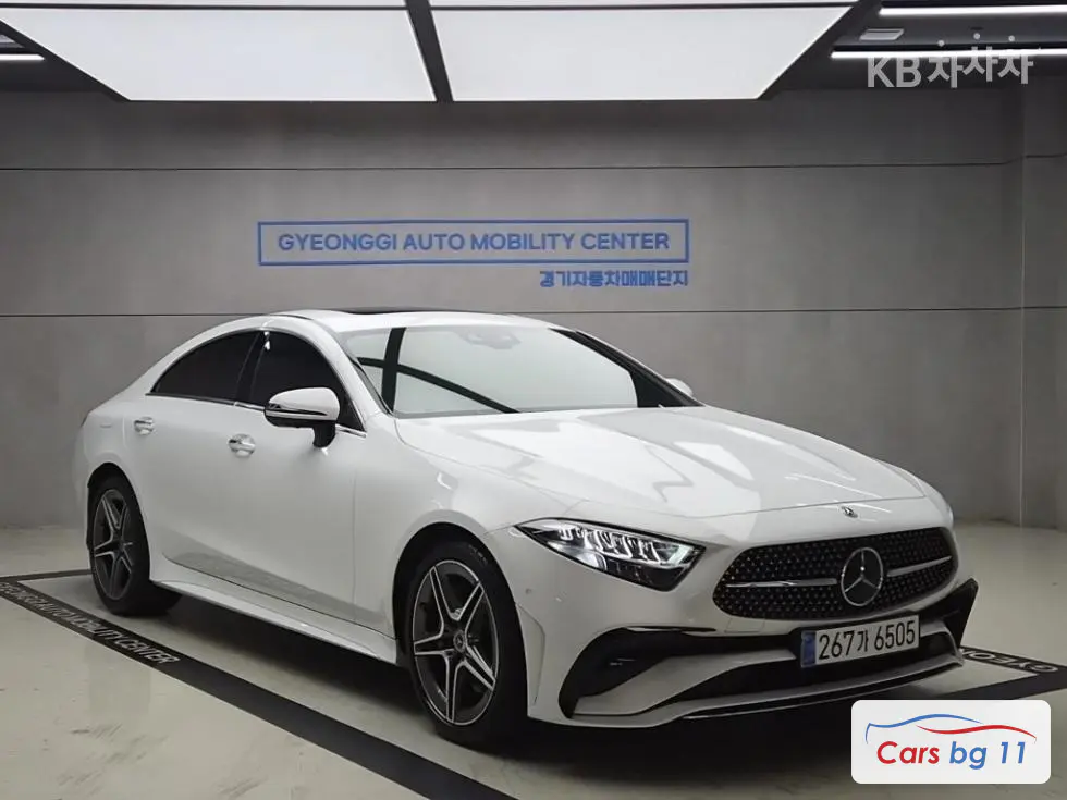 Mercedes-Benz CLS-Class(C257)CLS 300d 4MITIC Standard