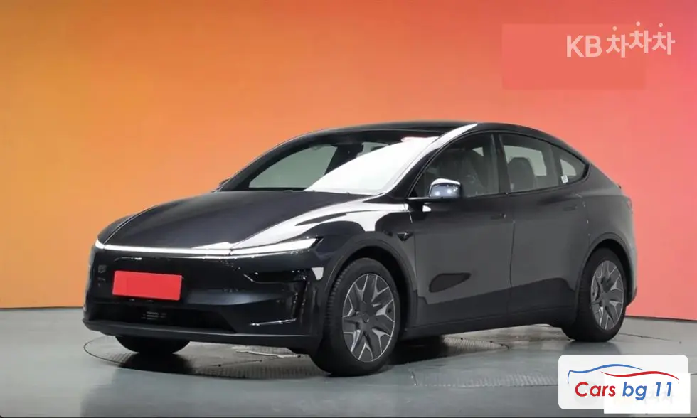 Tesla Model YLong Range AWD