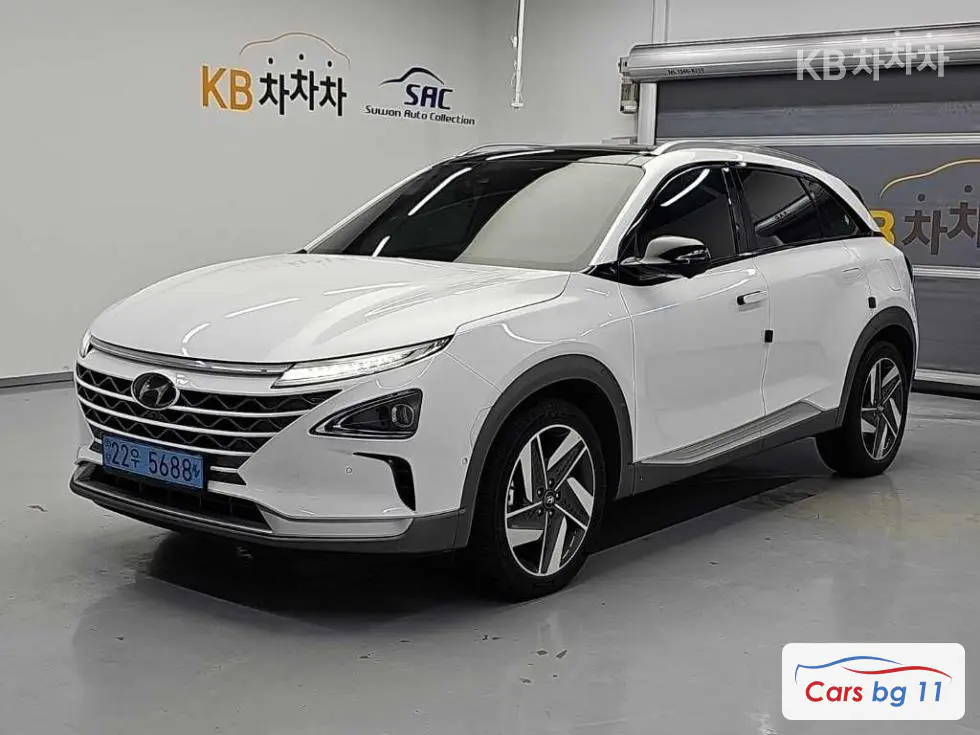 Hyundai NexoPremium
