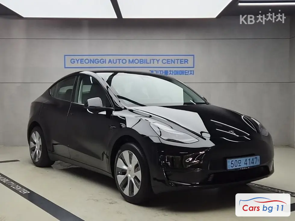 Tesla Model YRWD Standard