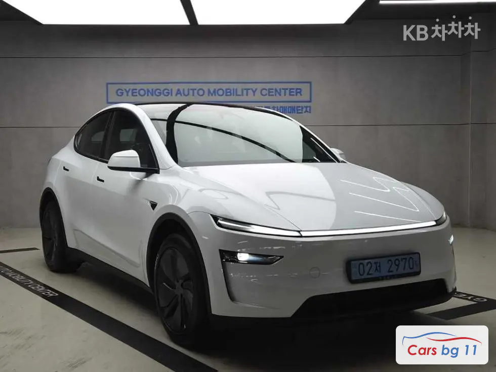 Tesla Model YAWD Long Range Premium Premium
