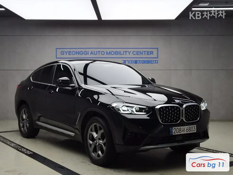 BMW New X4 (G02)xDrive 20i xLine