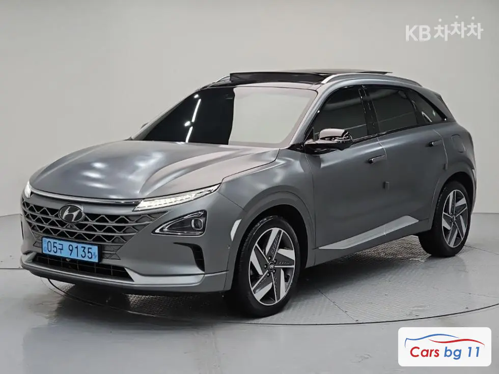 Hyundai NexoPremium