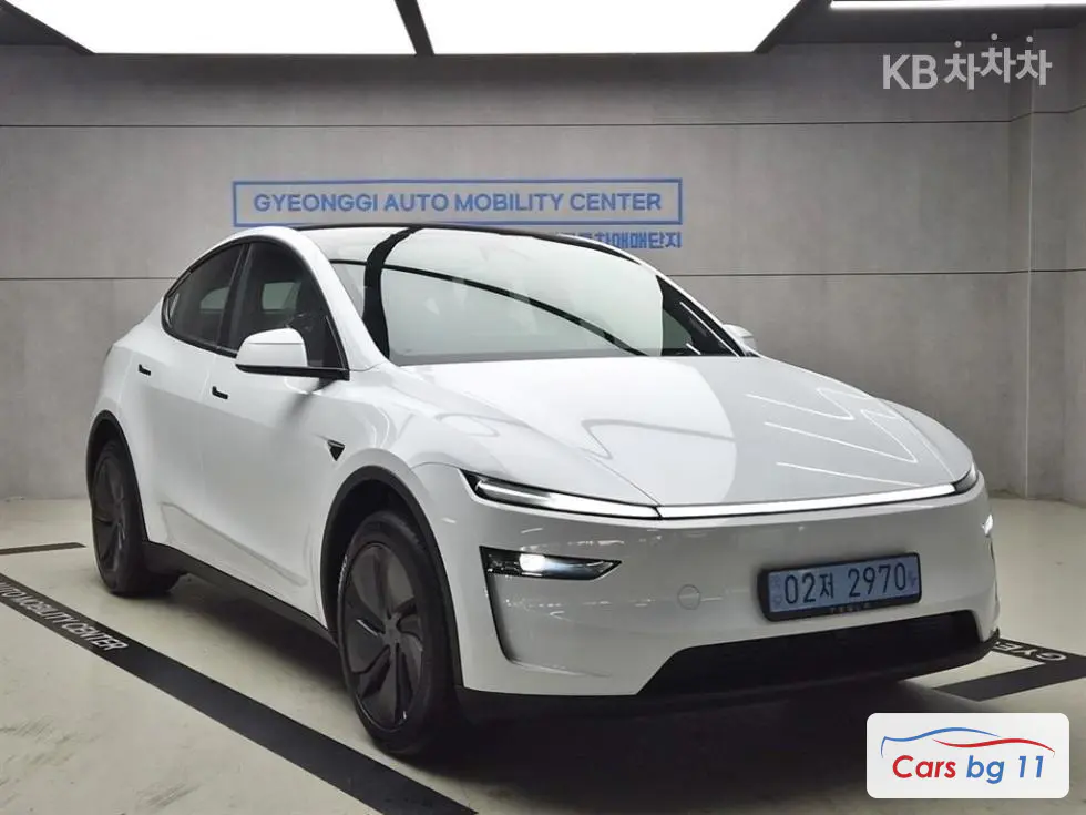 Tesla Model YLong Range AWD Premium