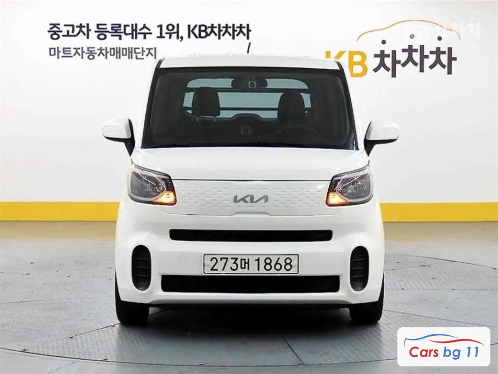 Kia The New Ray Van1.0 Gasoline Van 2-seater Standard