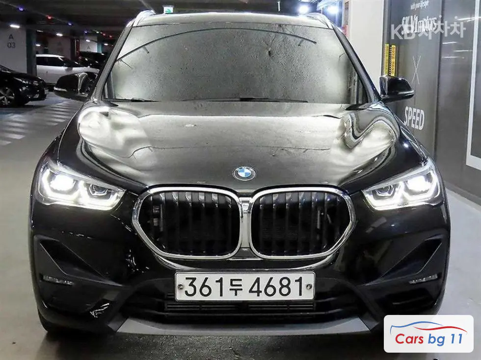 BMW X1 (F48)xDrive 20i Advantage