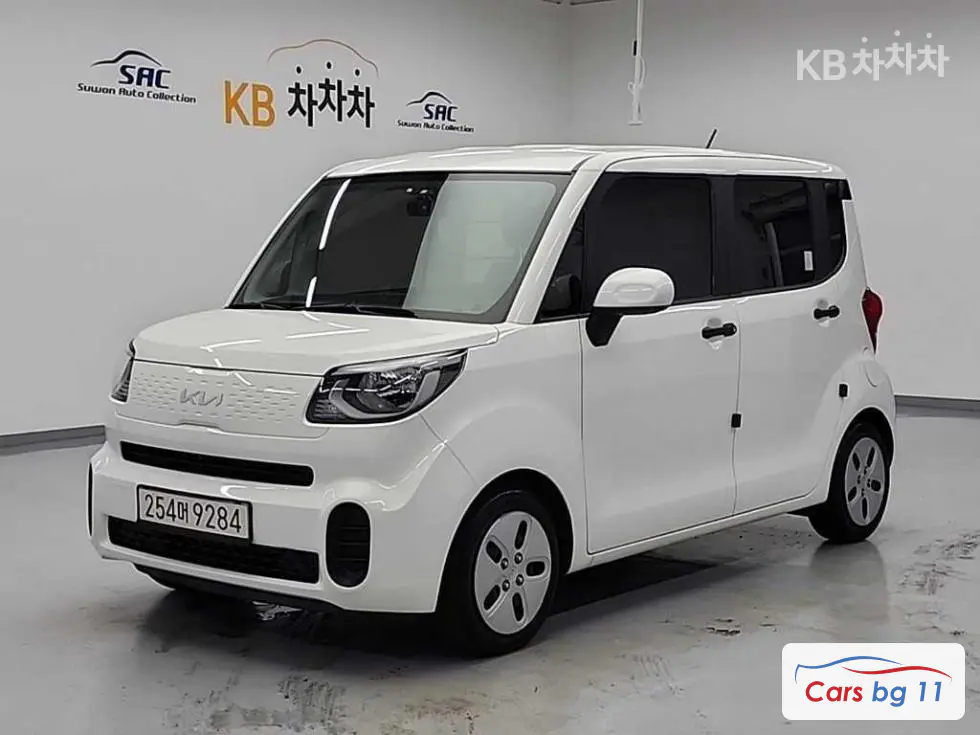 Kia The New Ray Van1.0 Gasoline Van 2-seater Standard