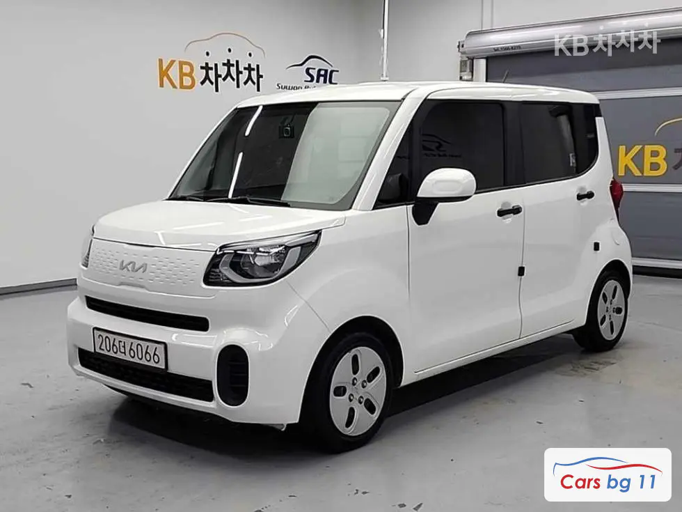 Kia The New Ray Van1.0 Gasoline Van 2-seater Standard