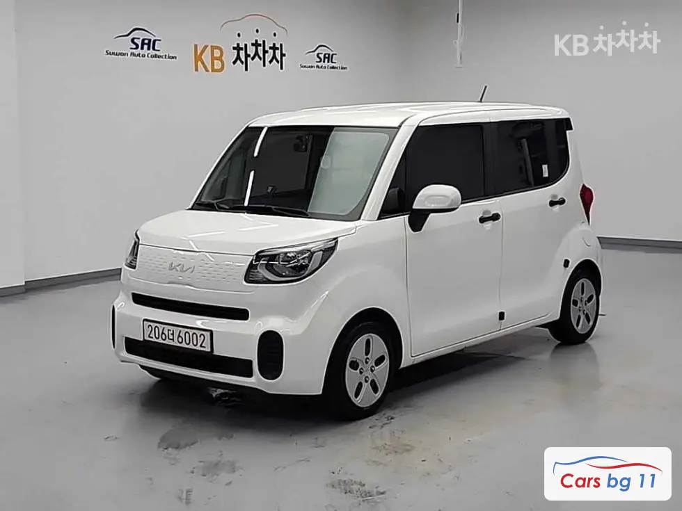 Kia The New Ray Van1.0 Gasoline Van 2-seater Standard