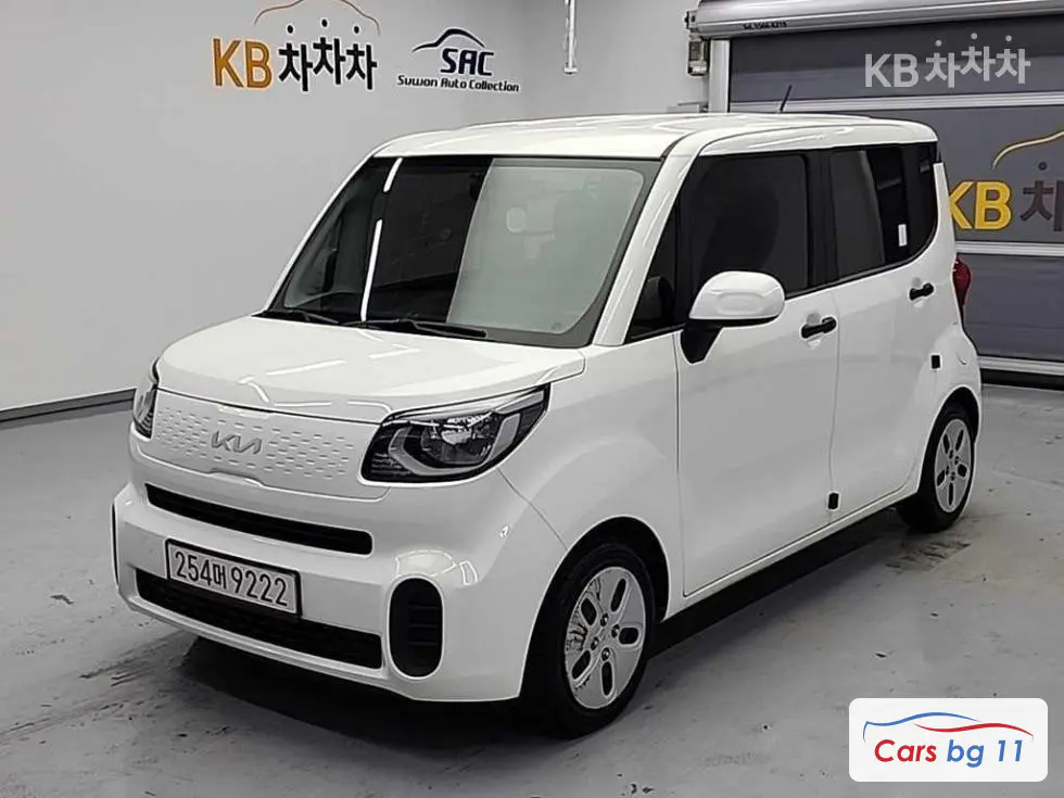 Kia The New Ray Van1.0 Gasoline Van 2-seater Standard