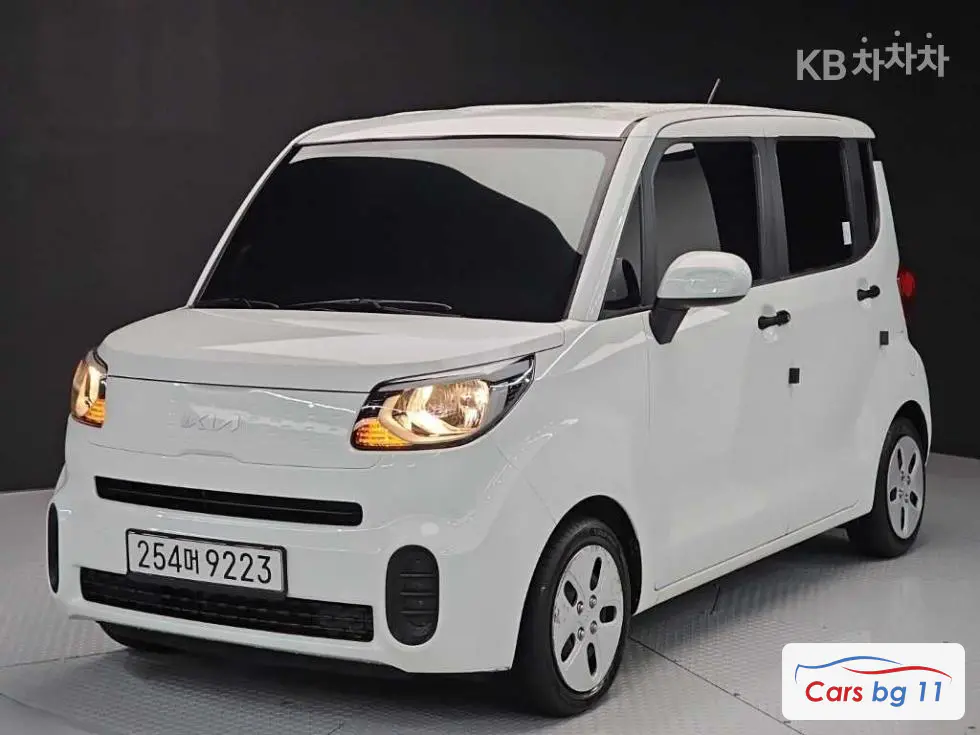 Kia The New Ray Van1.0 Gasoline Van 2-seater Standard