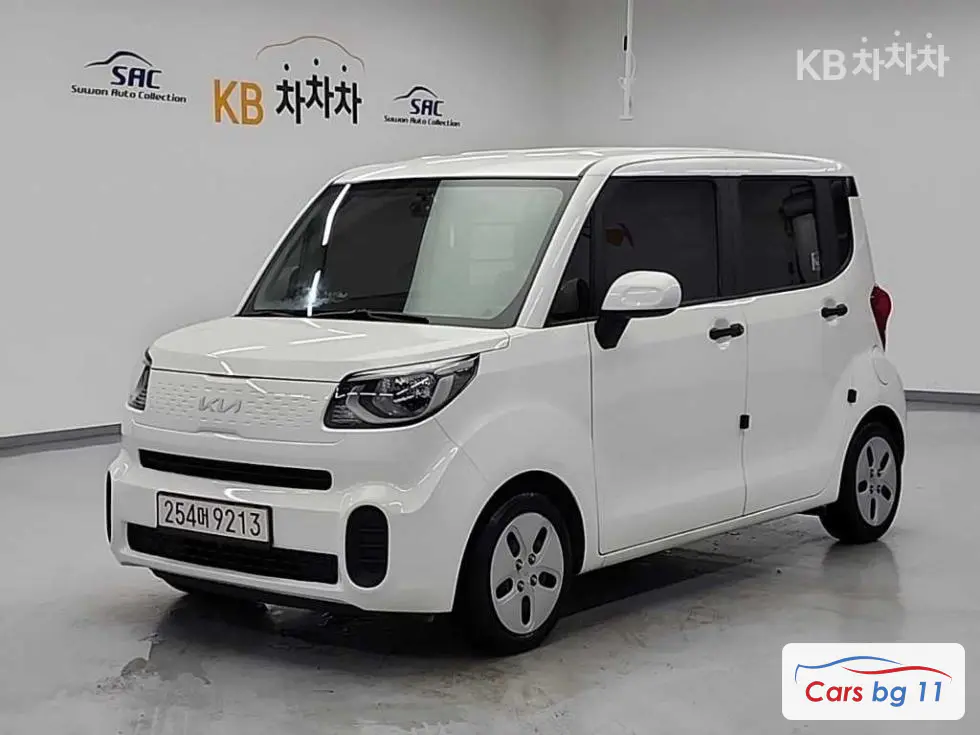 Kia The New Ray Van1.0 Gasoline Van 2-seater Standard