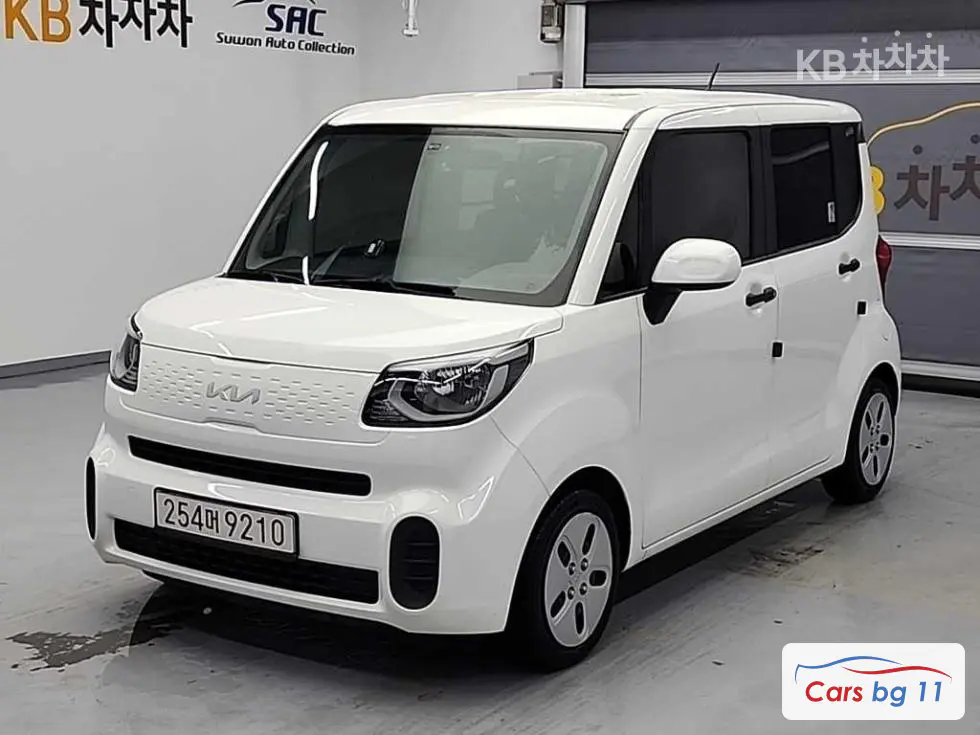 Kia The New Ray Van1.0 Gasoline Van 2-seater Standard