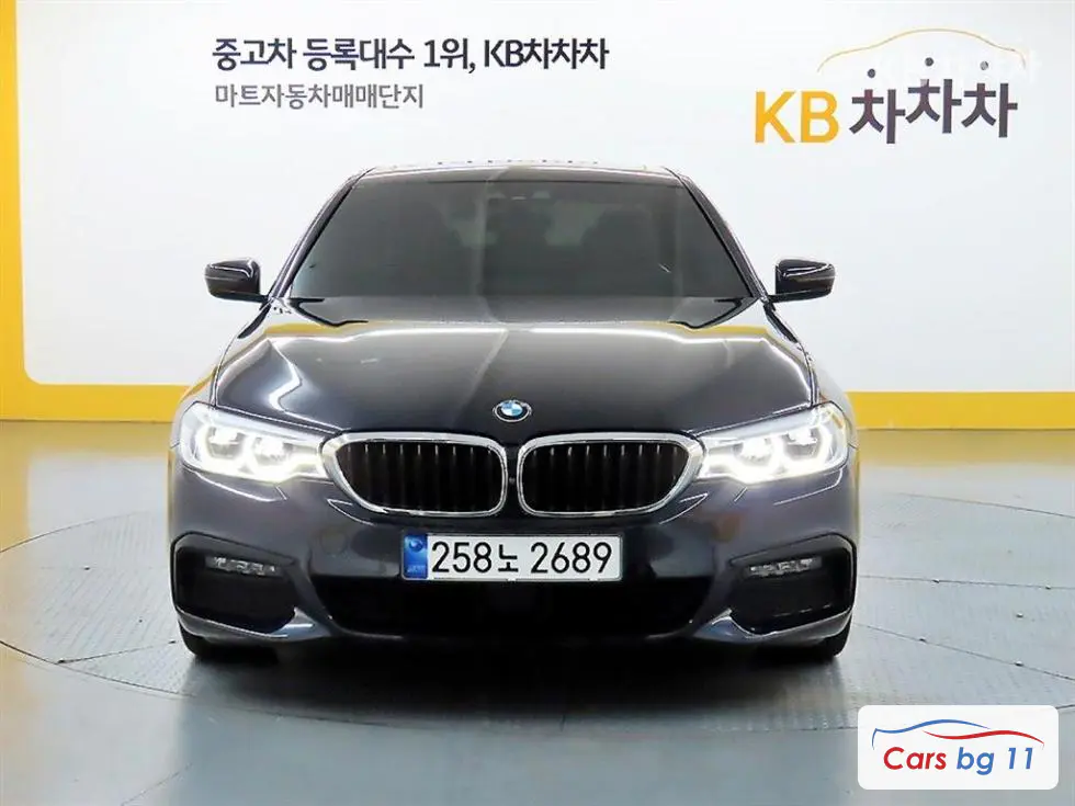 BMW All New 5 Серия (G30)530i M Sport Plus