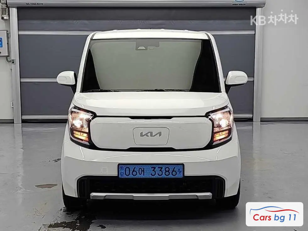 Kia The Kia Ray EVEV Light