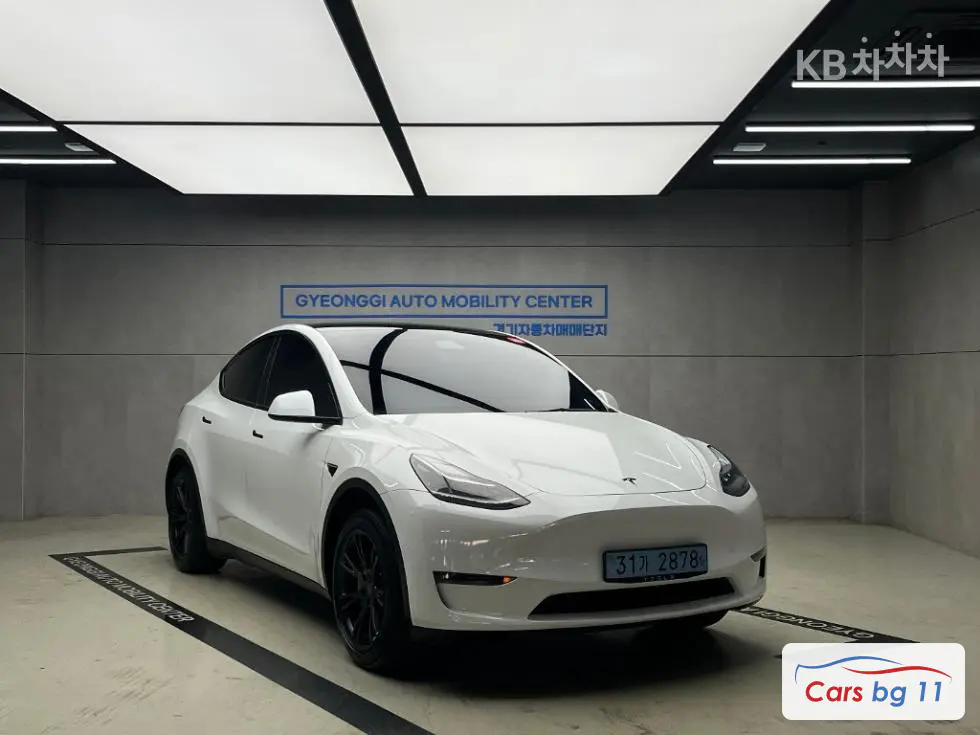 Tesla Model YStandard Range