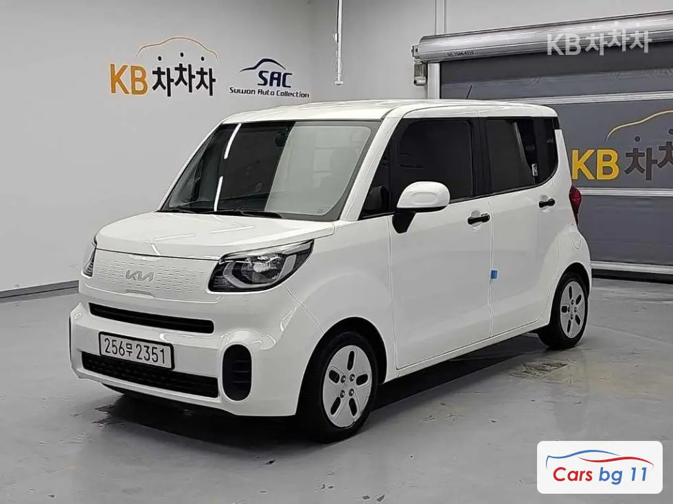 Kia The New Ray Van1.0 Gasoline Van 2-seater Standard
