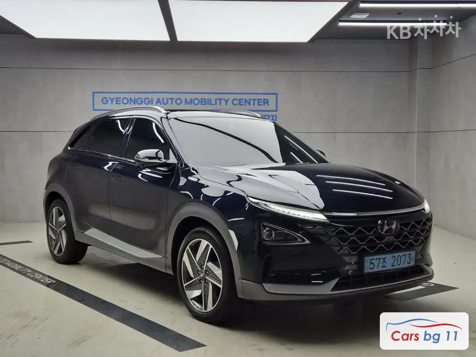 Hyundai NexoPremium