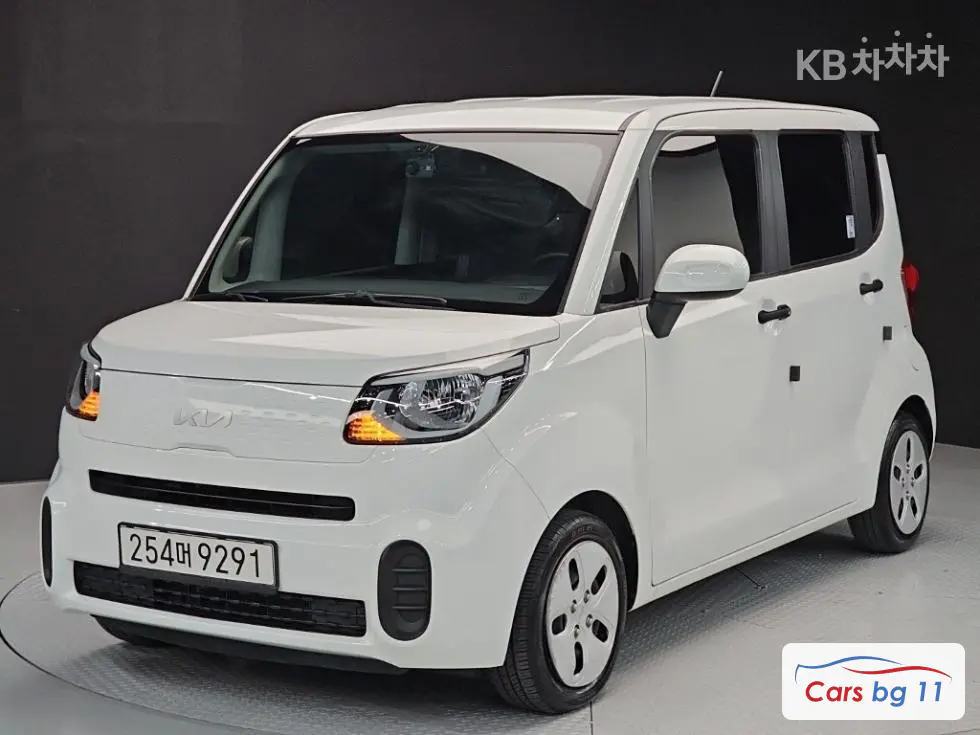 Kia The New Ray Van1.0 Gasoline Van 2-seater Standard