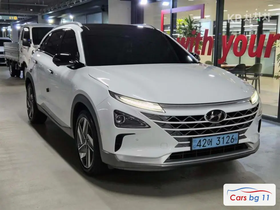 Hyundai NexoPremium