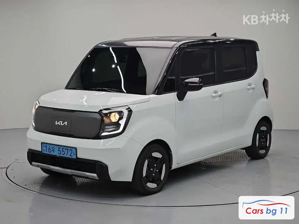 Kia The Kia Ray EVEV Air
