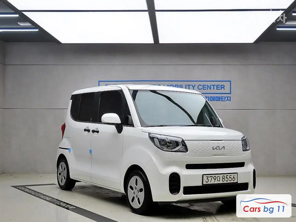 Kia The New Ray Van1.0 Gasoline Van 2-seater Standard