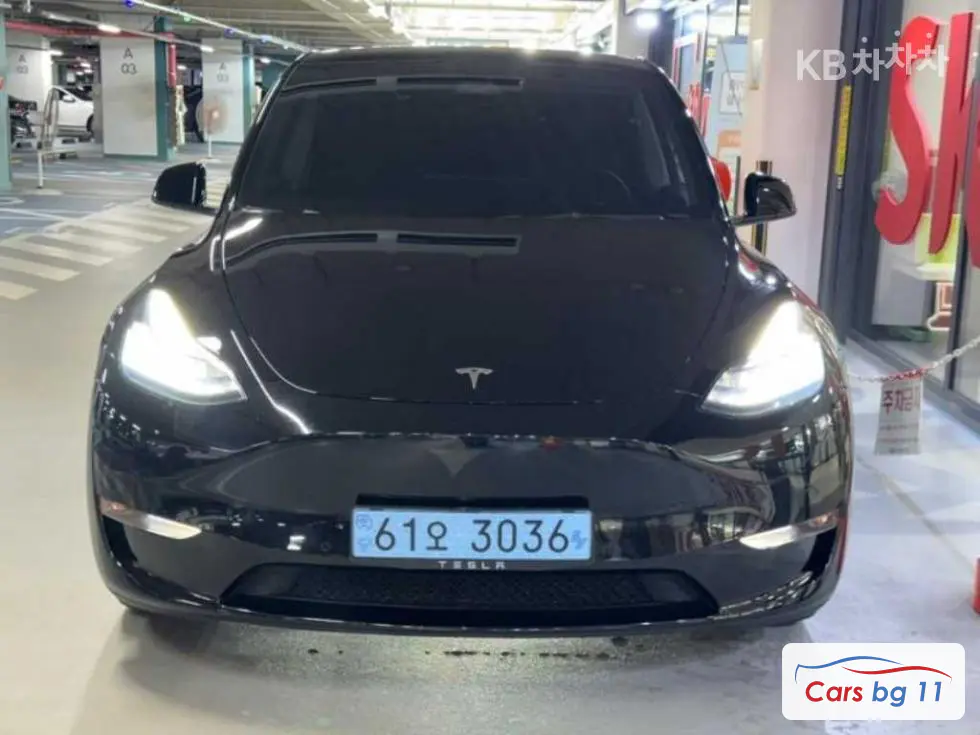 Tesla Model YLong Range