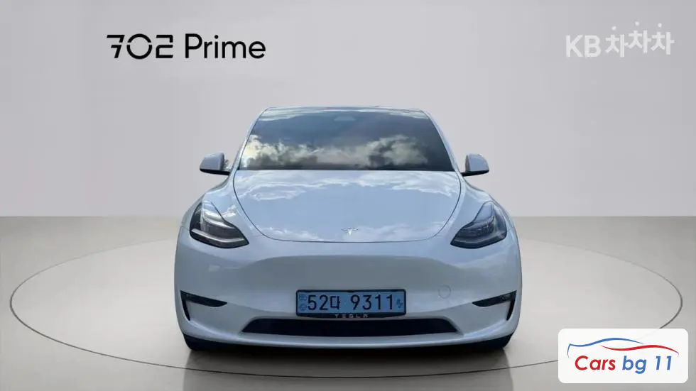 Tesla Model YLong Range AWD