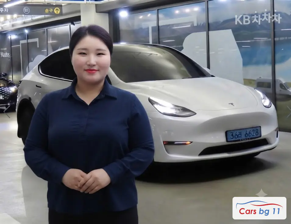 Tesla Model YLong Range