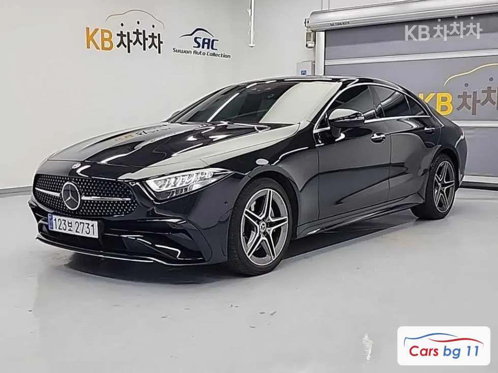 Mercedes-Benz CLS-Class(C257)CLS 300d 4MITIC Standard