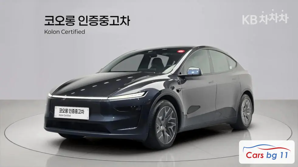Tesla Model YLong Range AWD