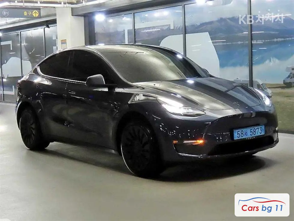 Tesla Model YLong Range