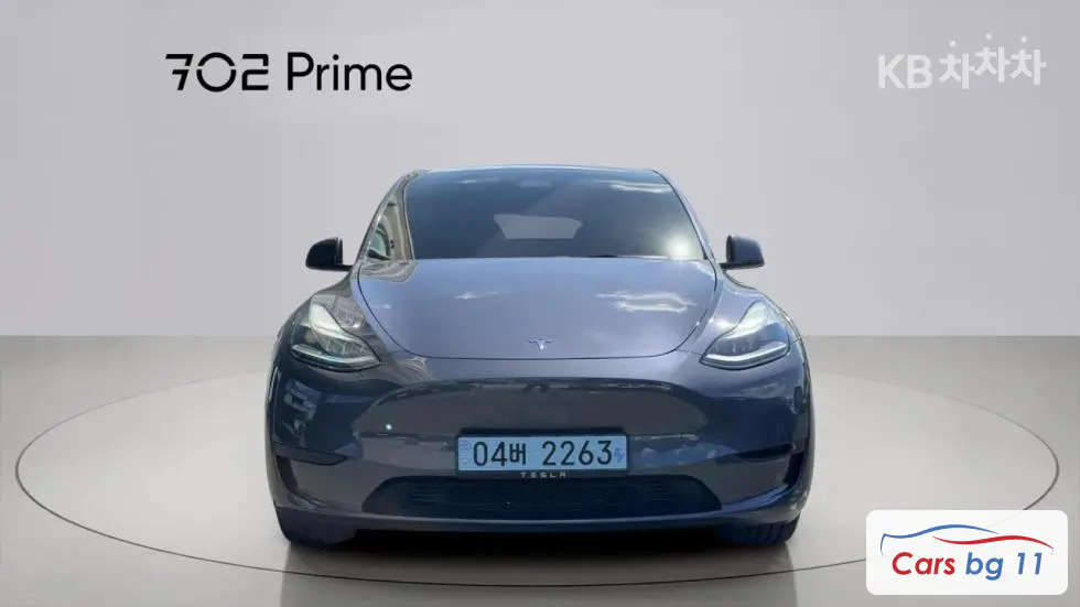 Tesla Model YRWD Standard