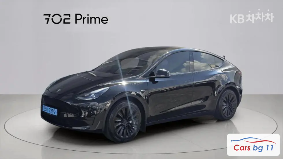 Tesla Model YRWD Standard