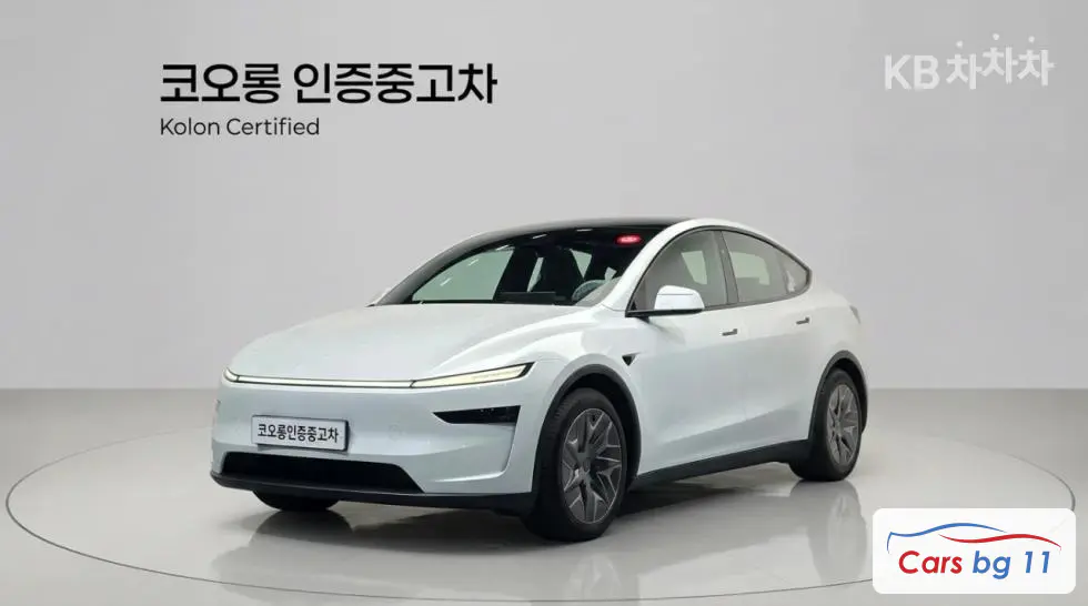 Tesla Model YLong Range AWD