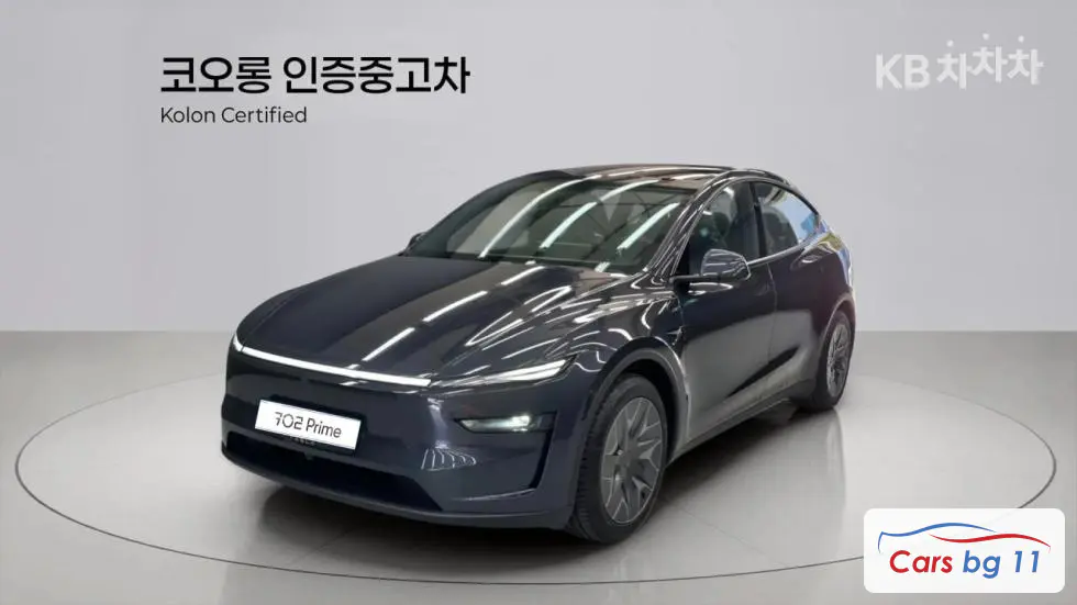 Tesla Model YLong Range AWD